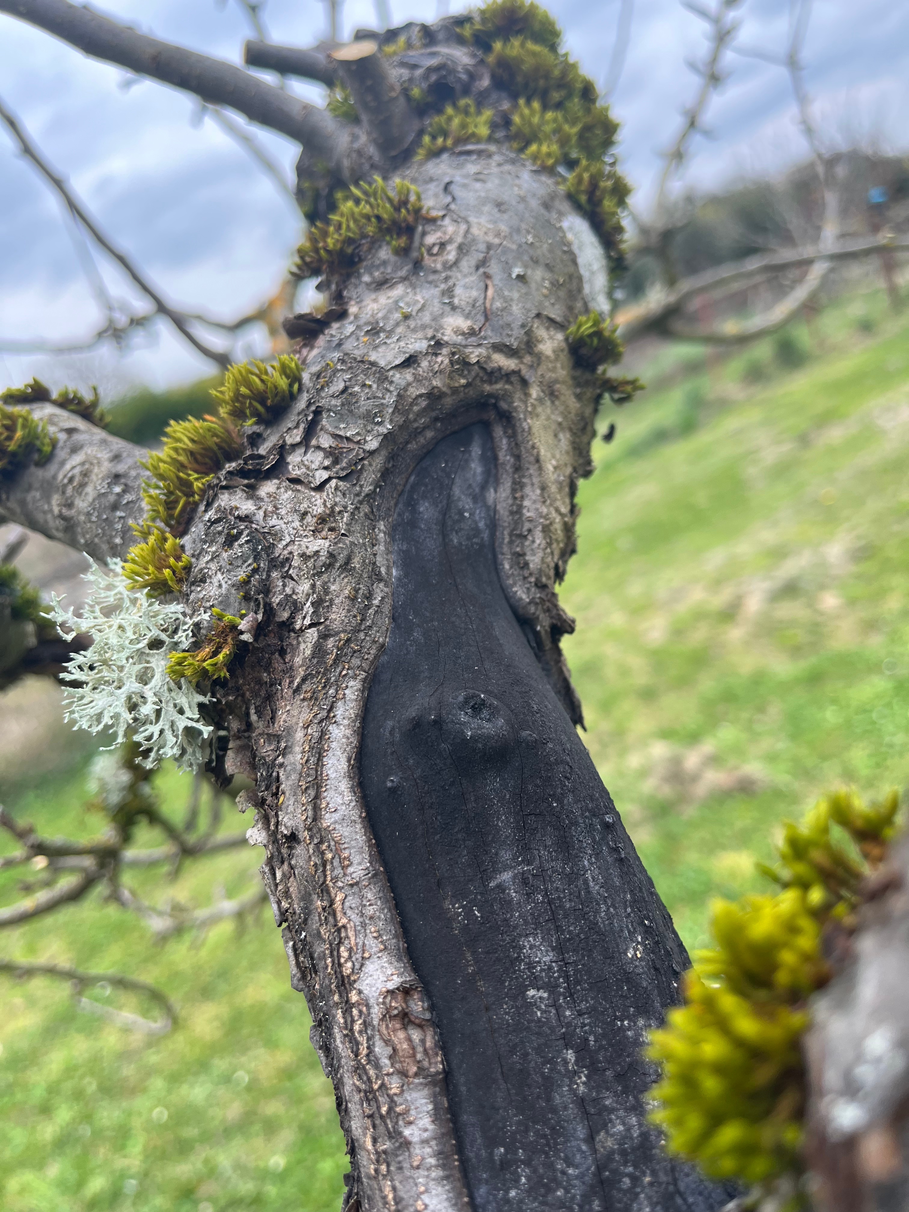 The other side of stewardship