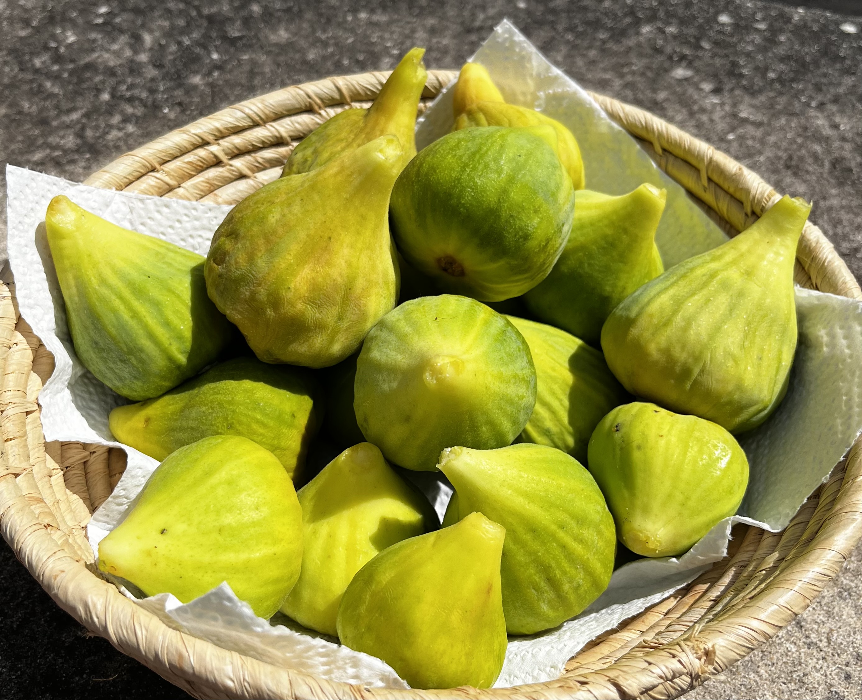 First, figs –  first figs