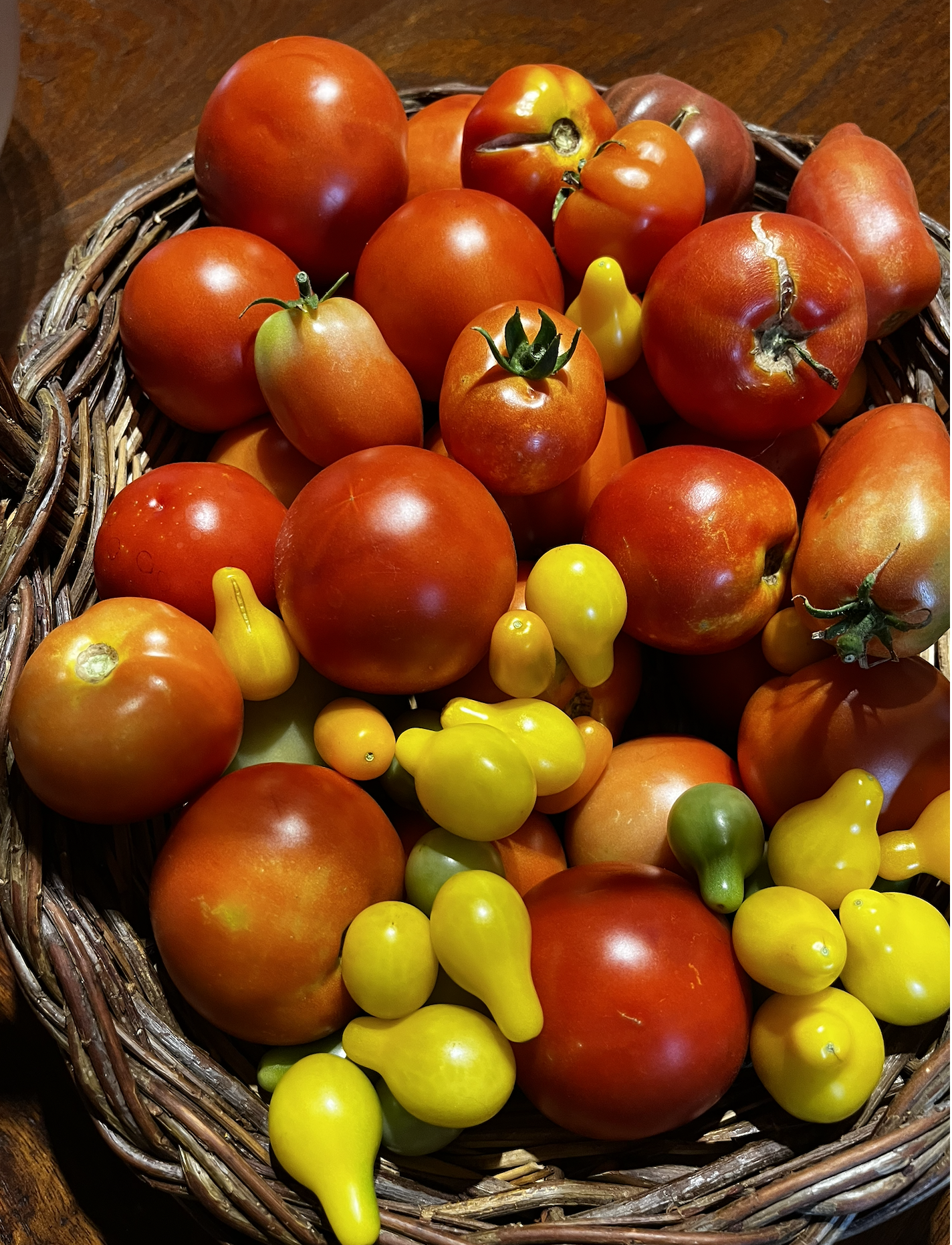 Tomatoes